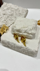 Mehr o lal Earrings